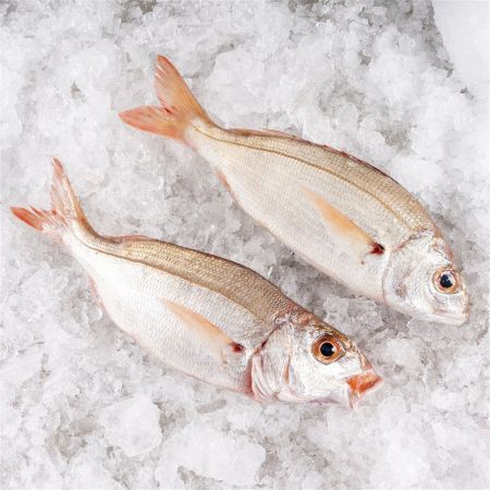 Besugo blanco o aligote fresco a domicilio