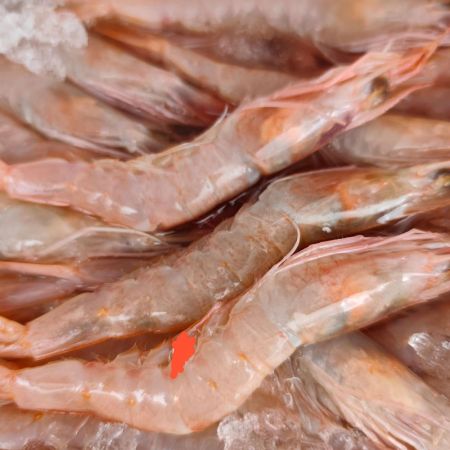 gamba de huelva a domicilio