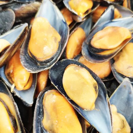 Mejillón gallego cocido y congelado (media concha)