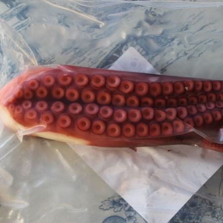 Pulpo gallego cocido