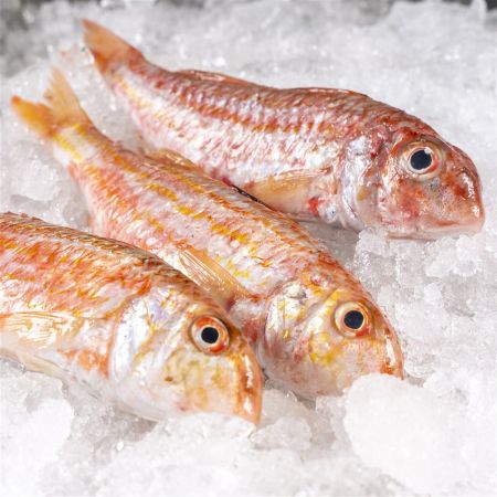 Salmonete de roca fresco a domicilio