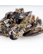 Mejillones de galicia a domicilio