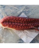 Pulpo gallego cocido