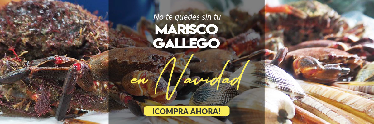 Marisco Gallego Y Pescado Fresco A Domicilio. Pescadería Online