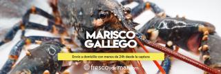 Marisco Gallego Y Pescado Fresco A Domicilio. Pescadería Online